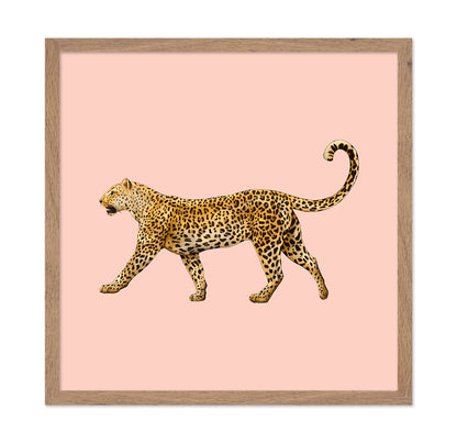 Golden Leopard Walk
