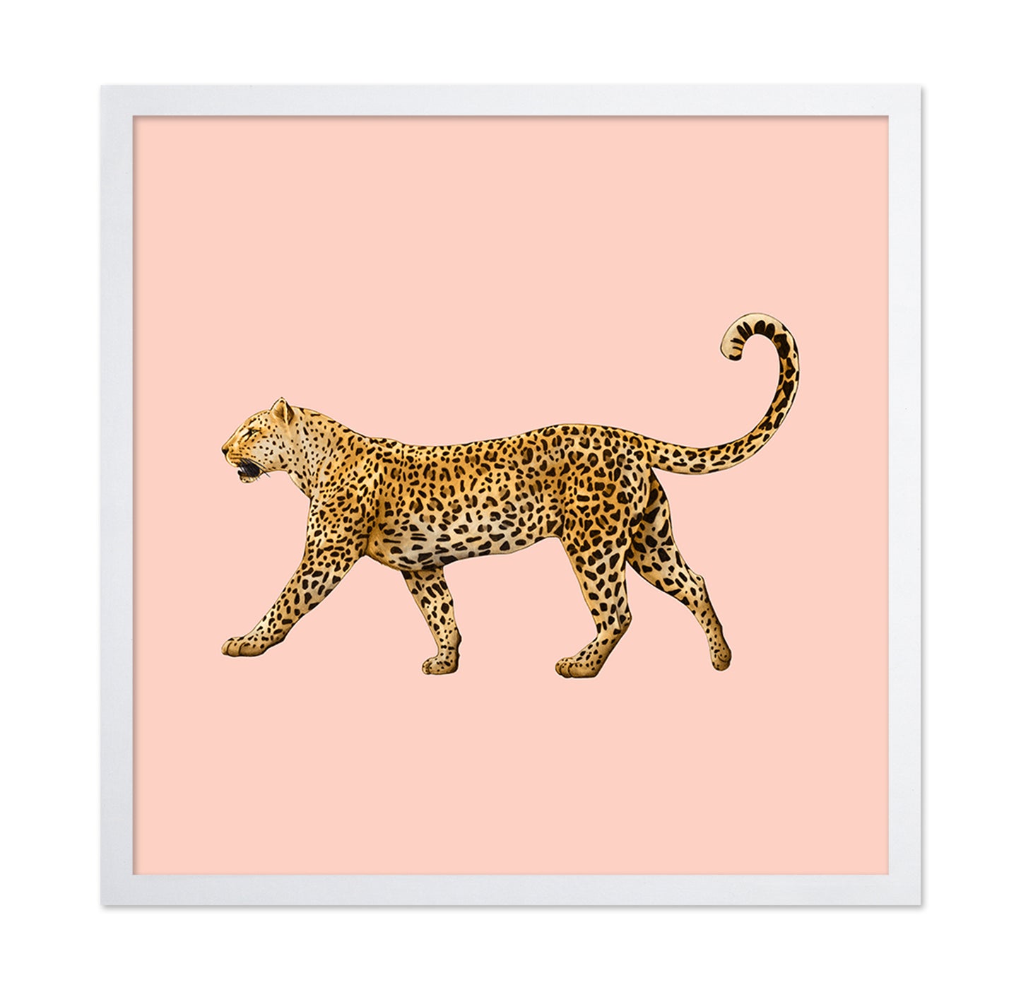 Golden Leopard Walk
