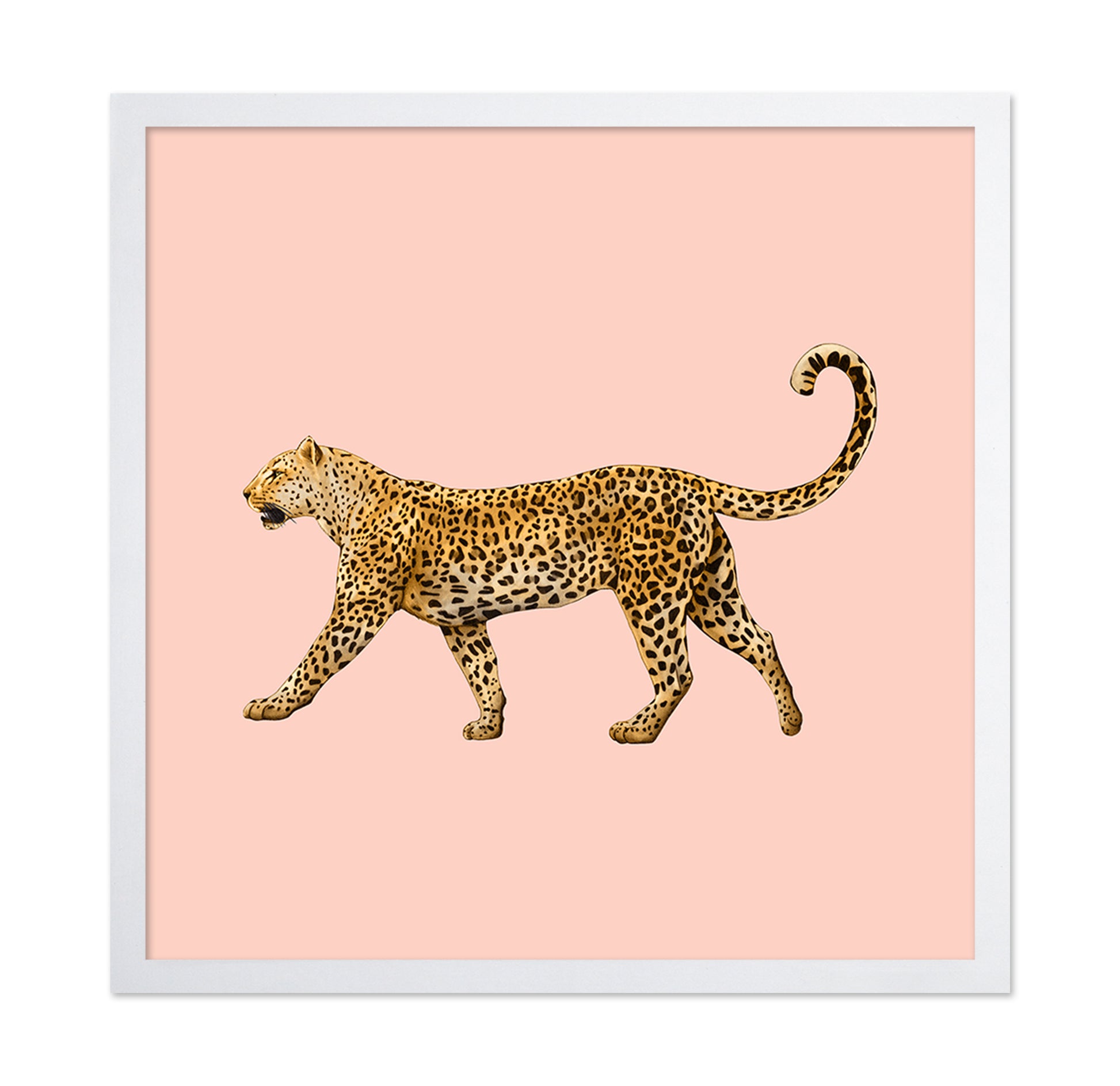 Golden Leopard Walk