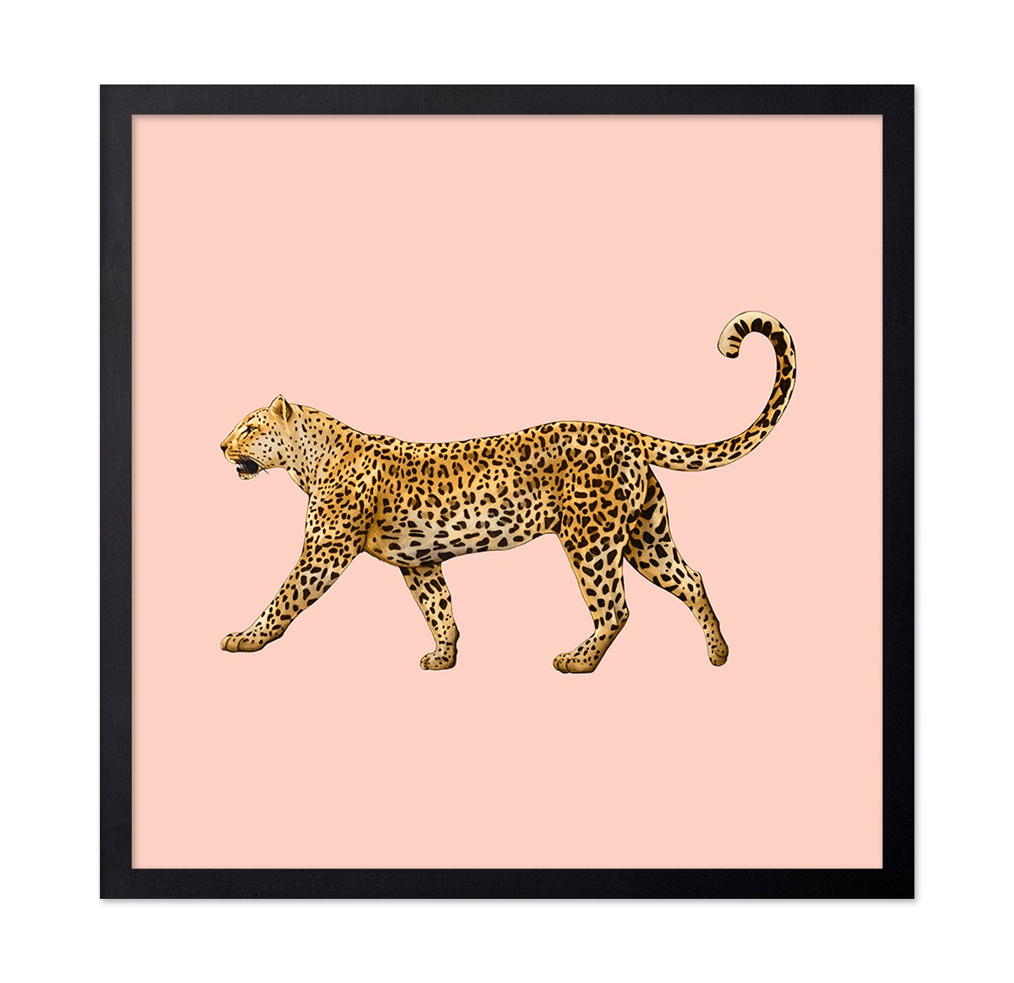 Golden Leopard Walk