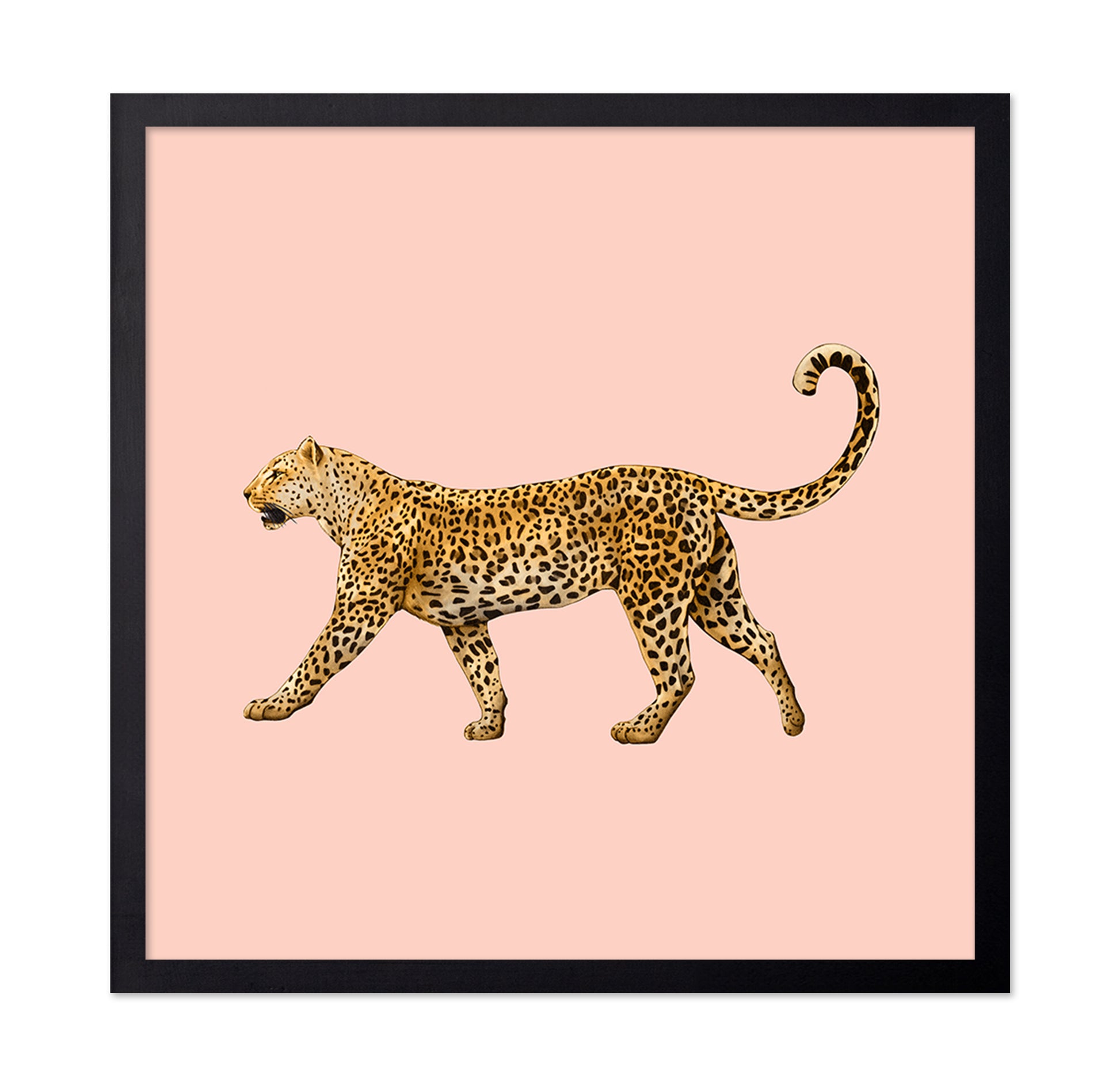 Golden Leopard Walk