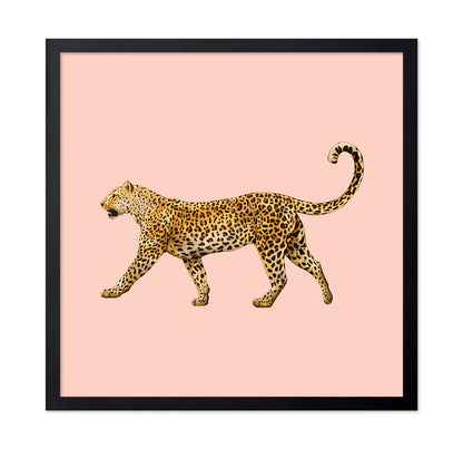 Golden Leopard Walk