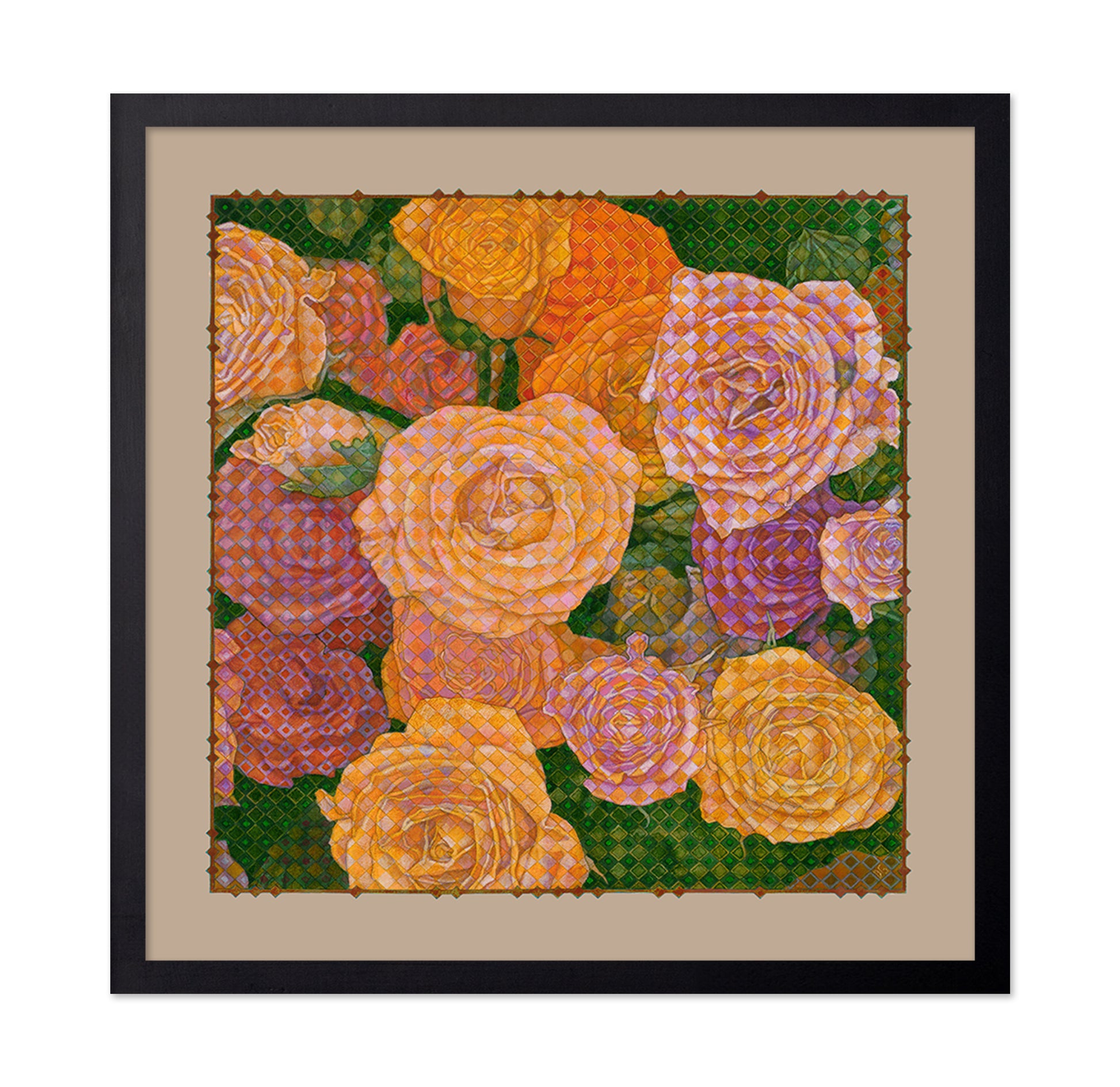 Colorful Rose Garden