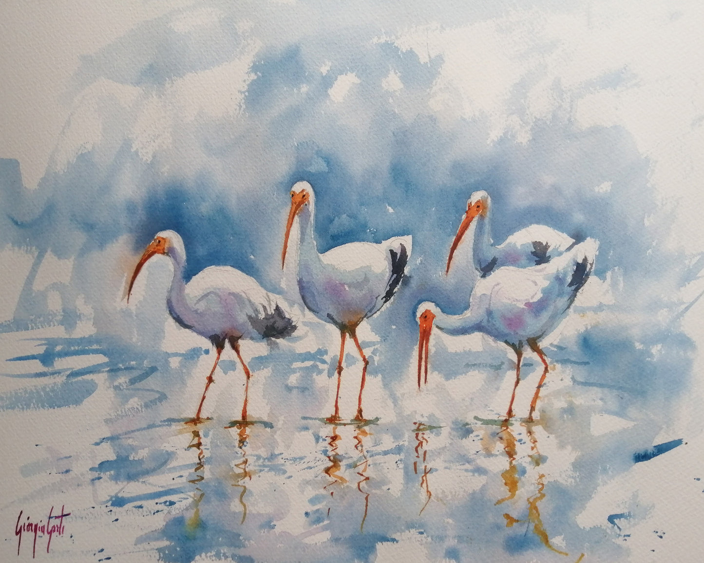 White Ibis Group