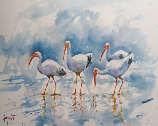 White Ibis Group