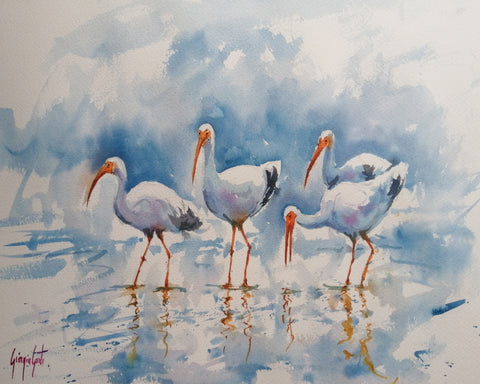 White Ibis Group