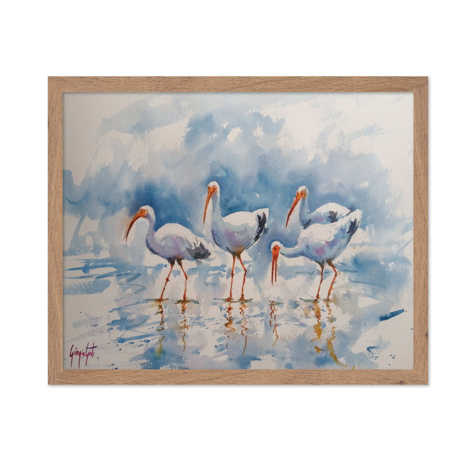 White Ibis Group