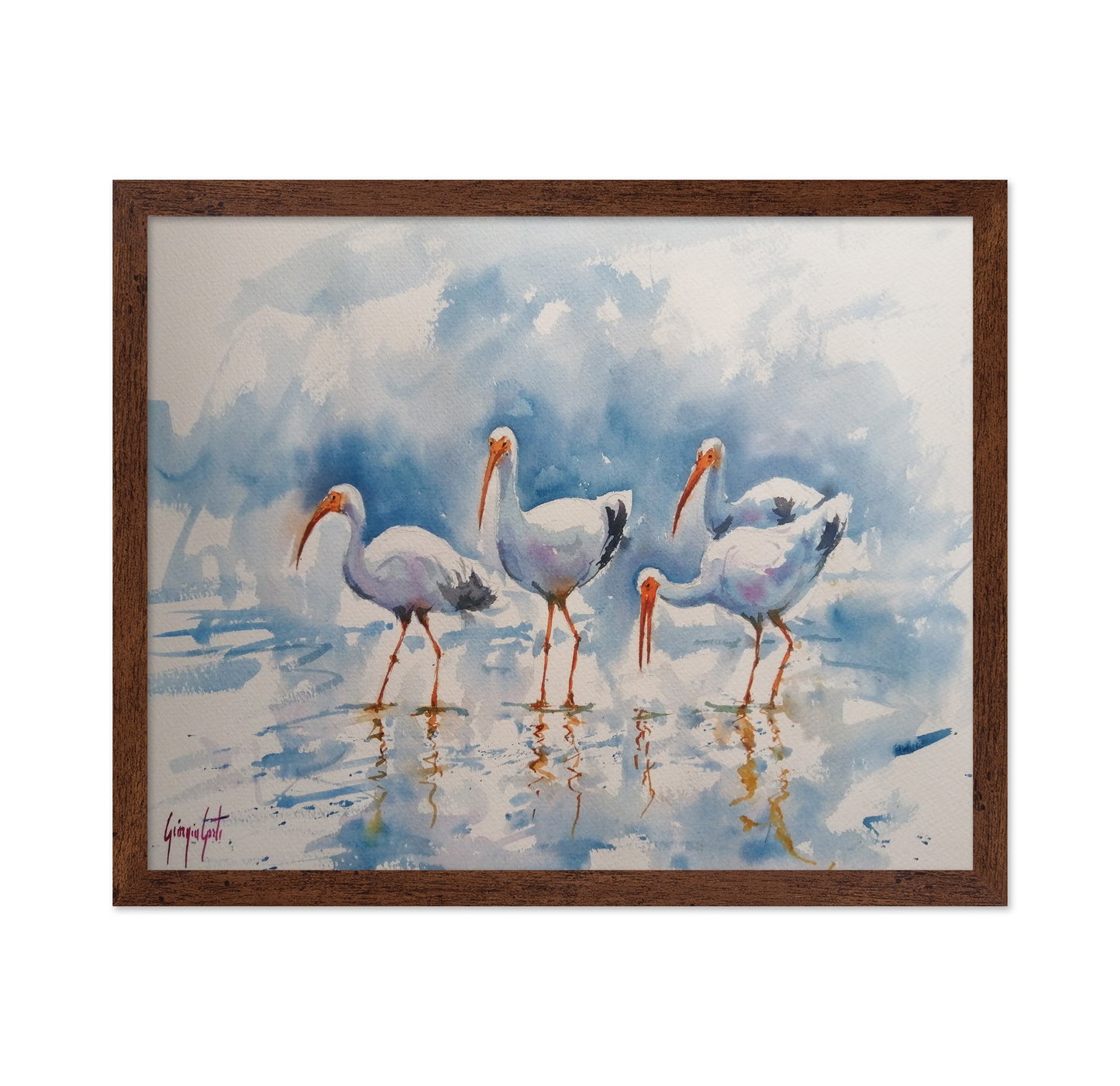 White Ibis Group