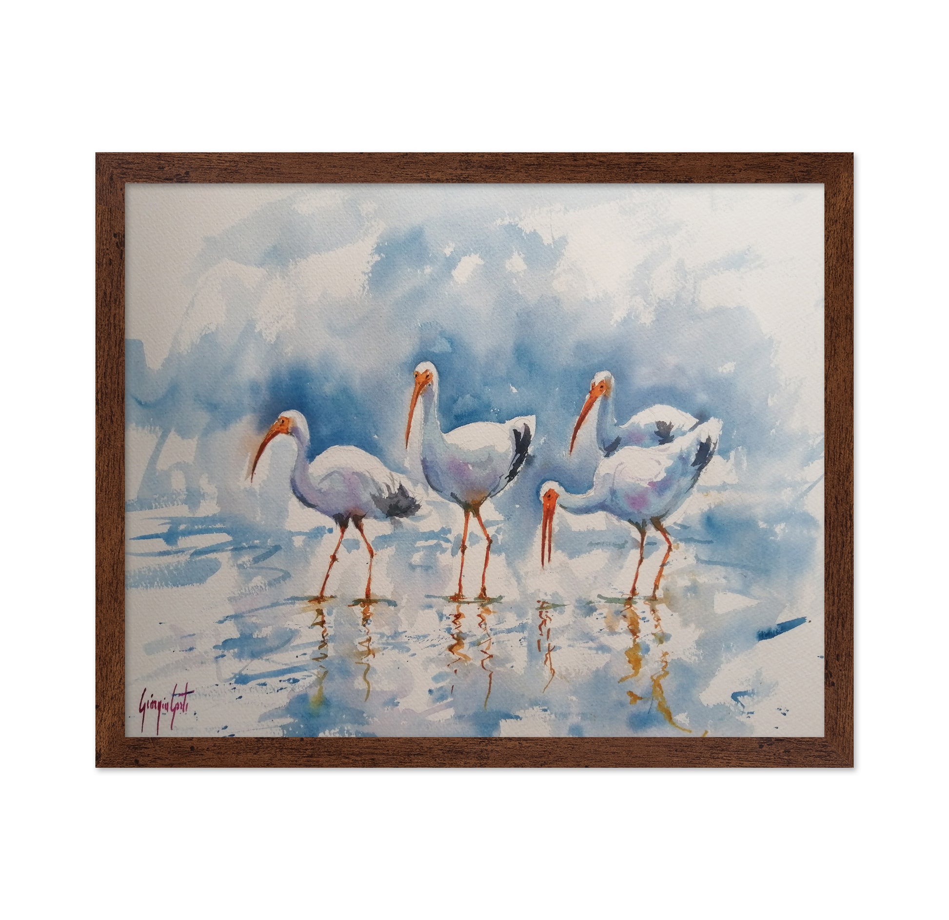 White Ibis Group