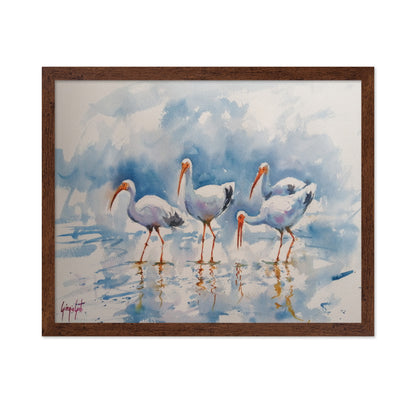 White Ibis Group