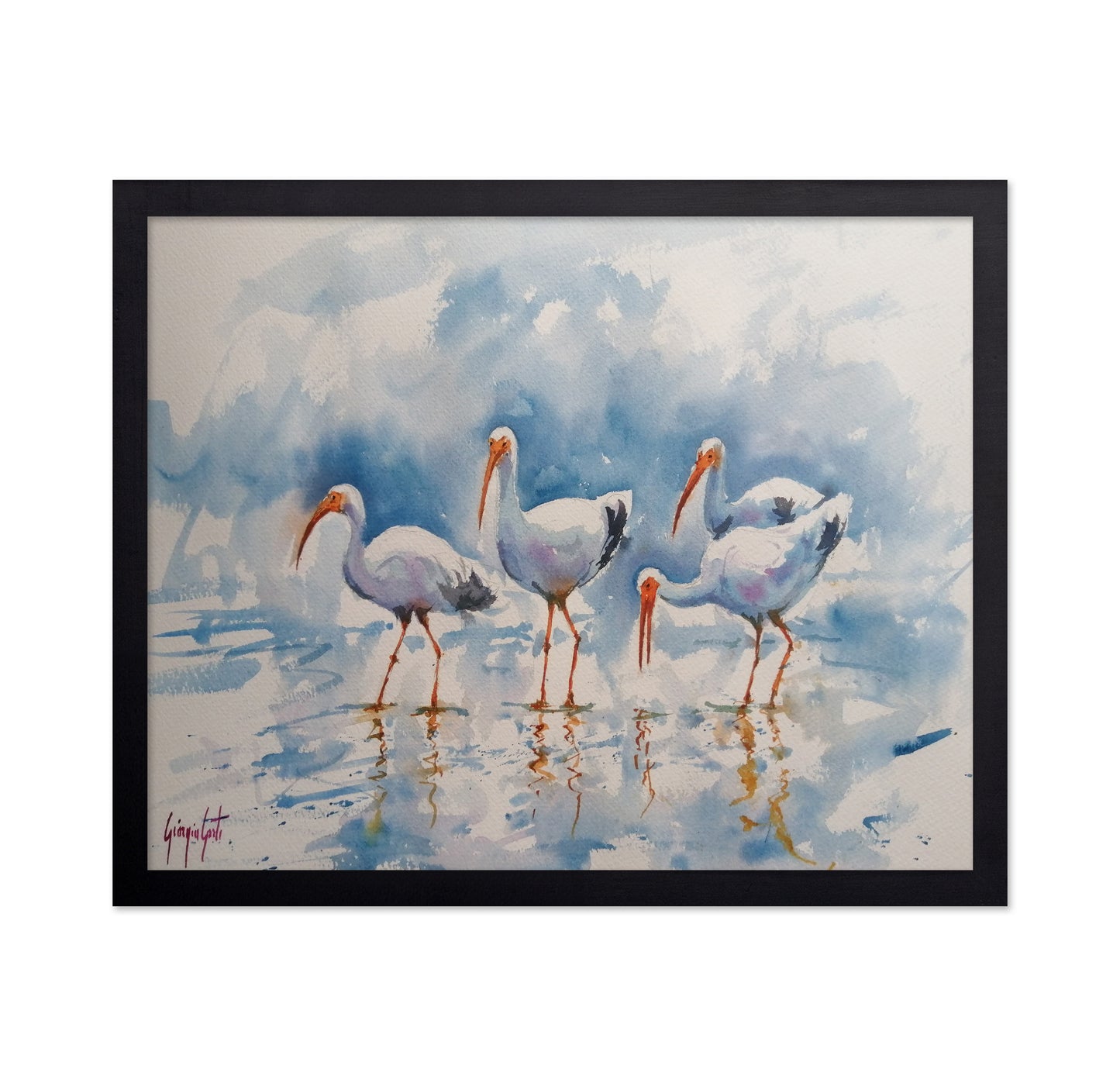 White Ibis Group