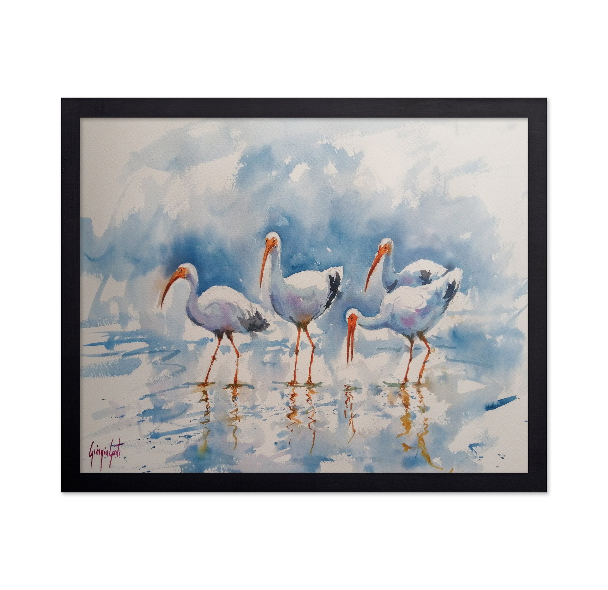 White Ibis Group