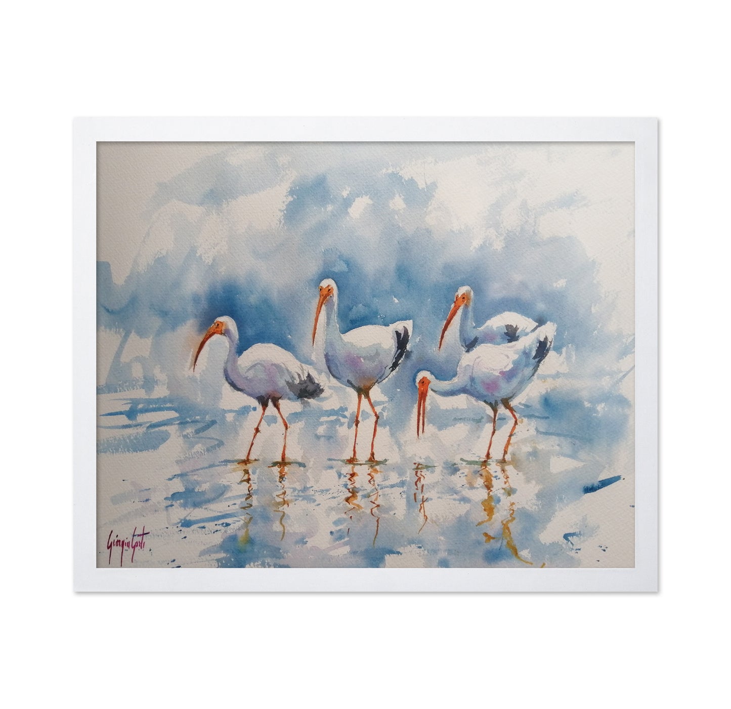 White Ibis Group