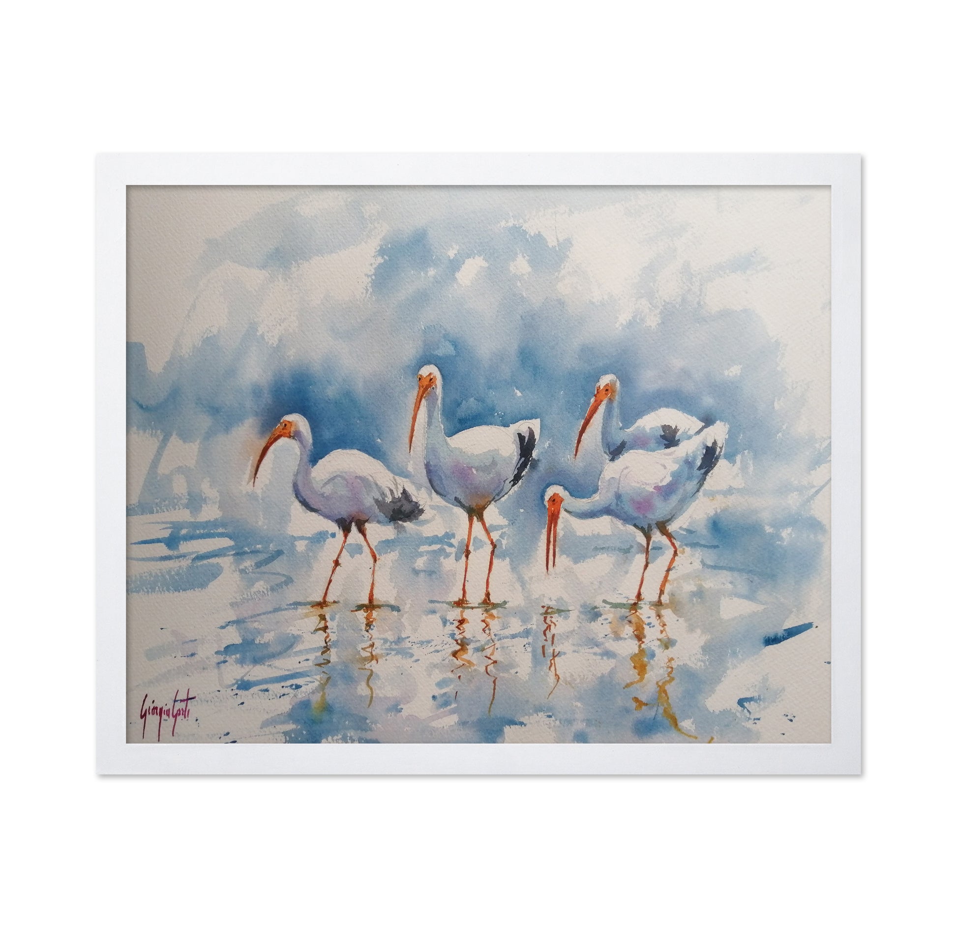 White Ibis Group