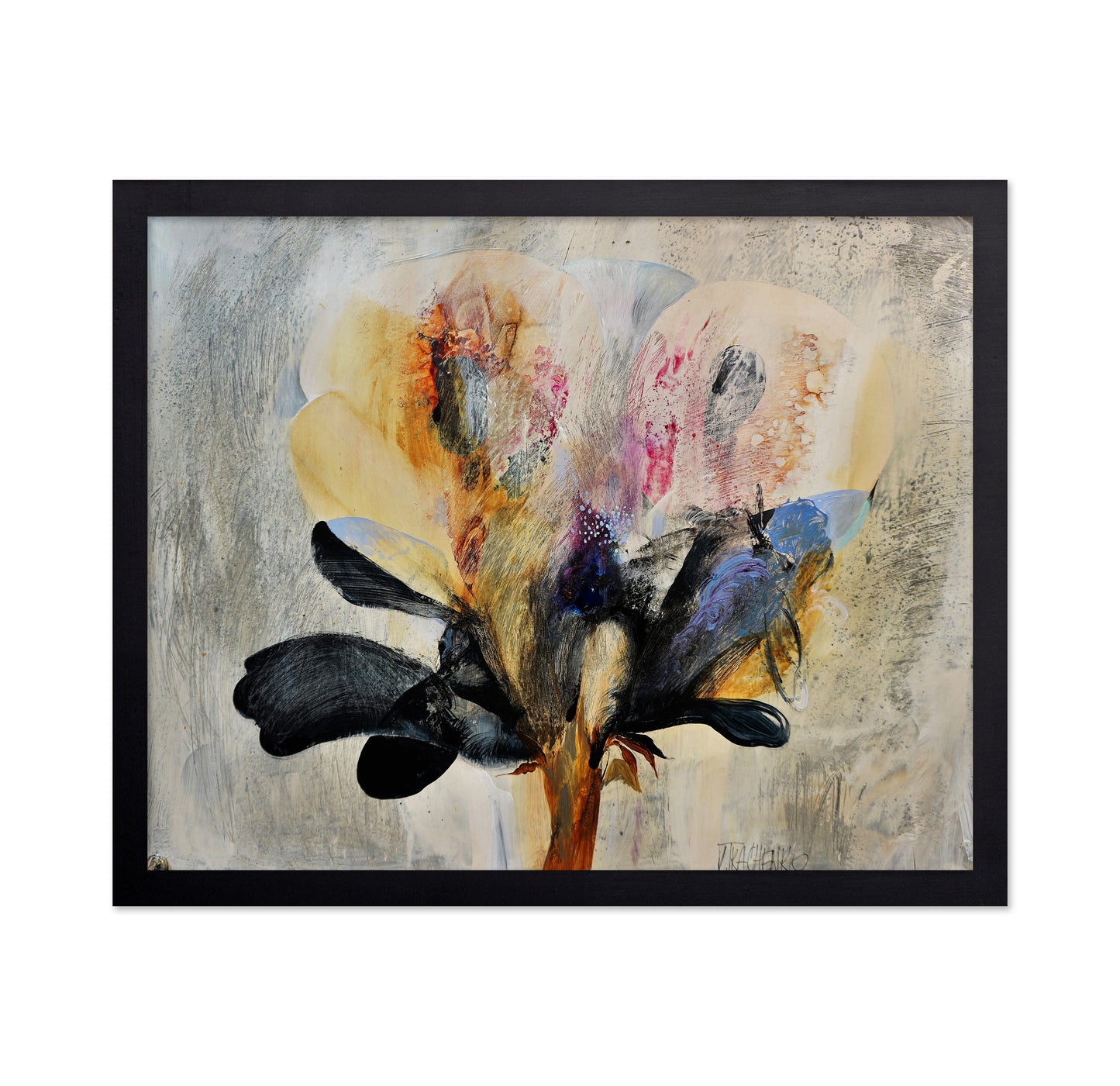 Shadow Bloom