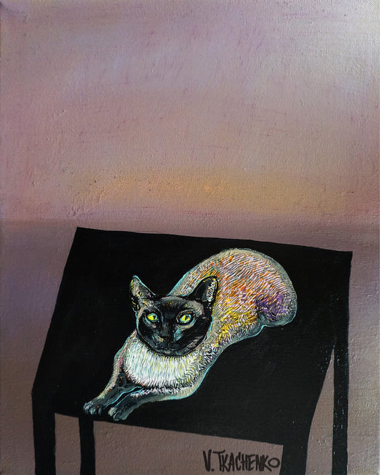 Midnight Table Cat