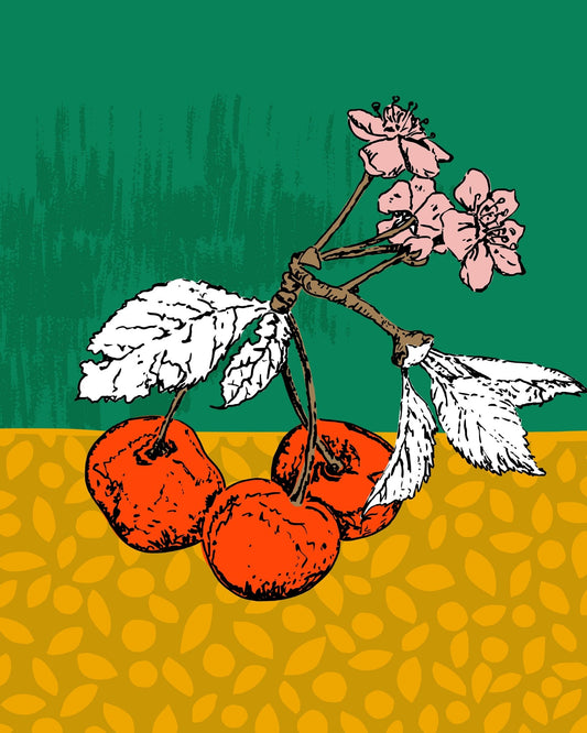 Modern Cherry Botanical Poster