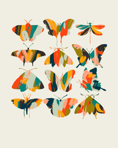 Colorful Butterfly Set