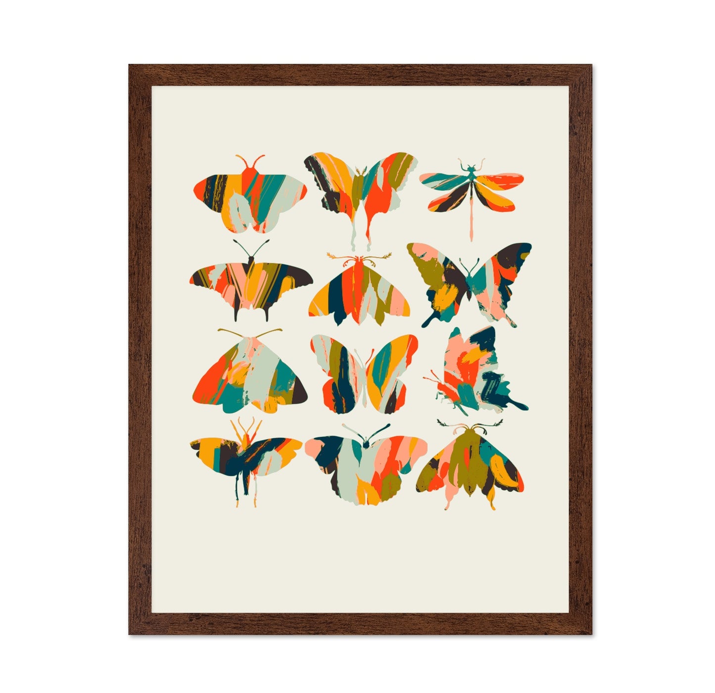 Colorful Butterfly Set