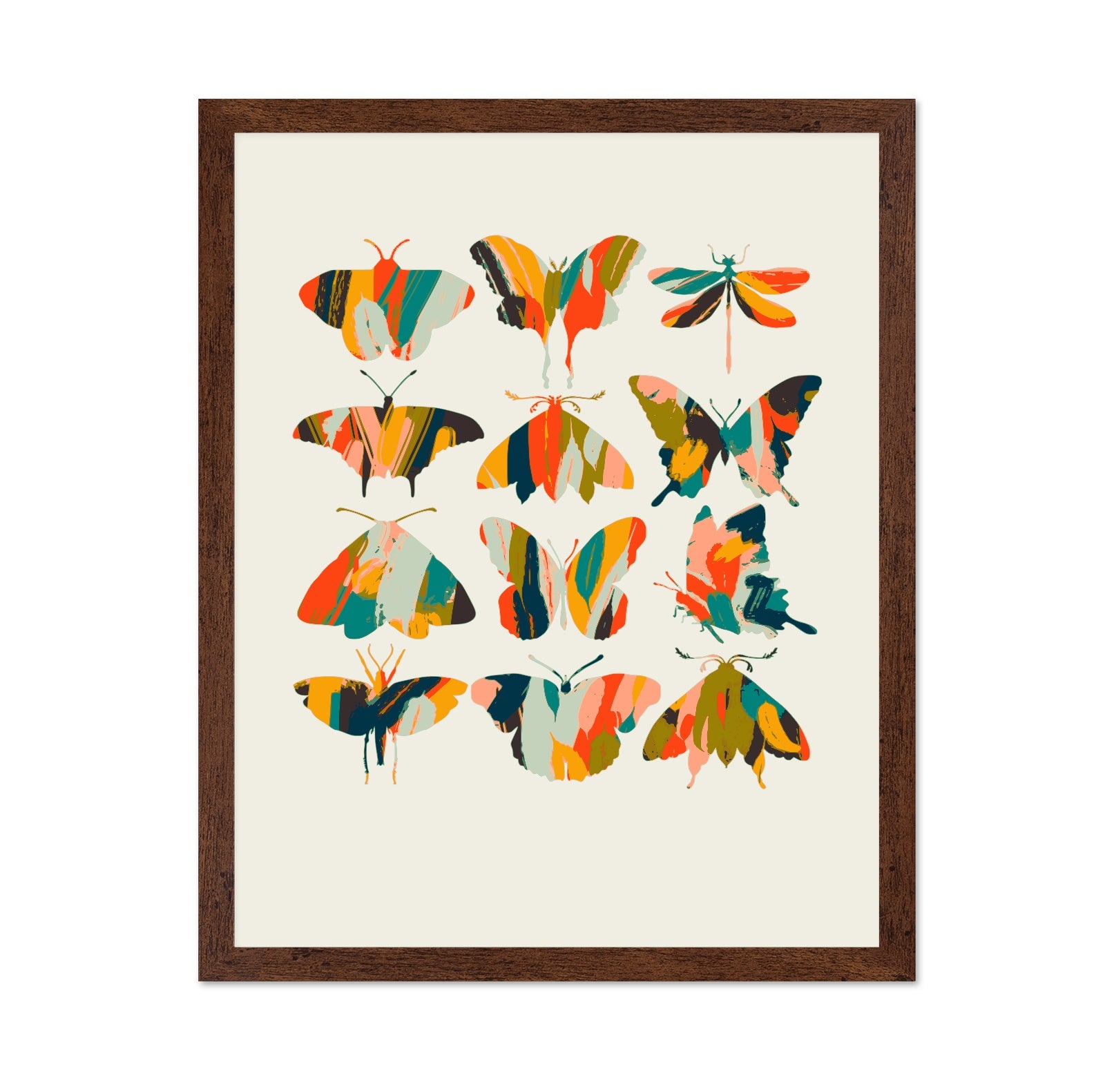 Colorful Butterfly Set