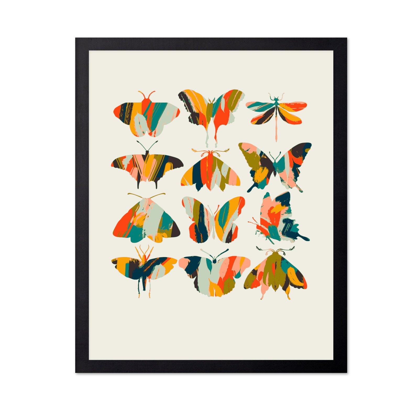 Colorful Butterfly Set