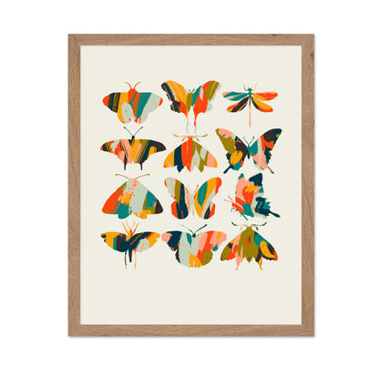 Colorful Butterfly Set