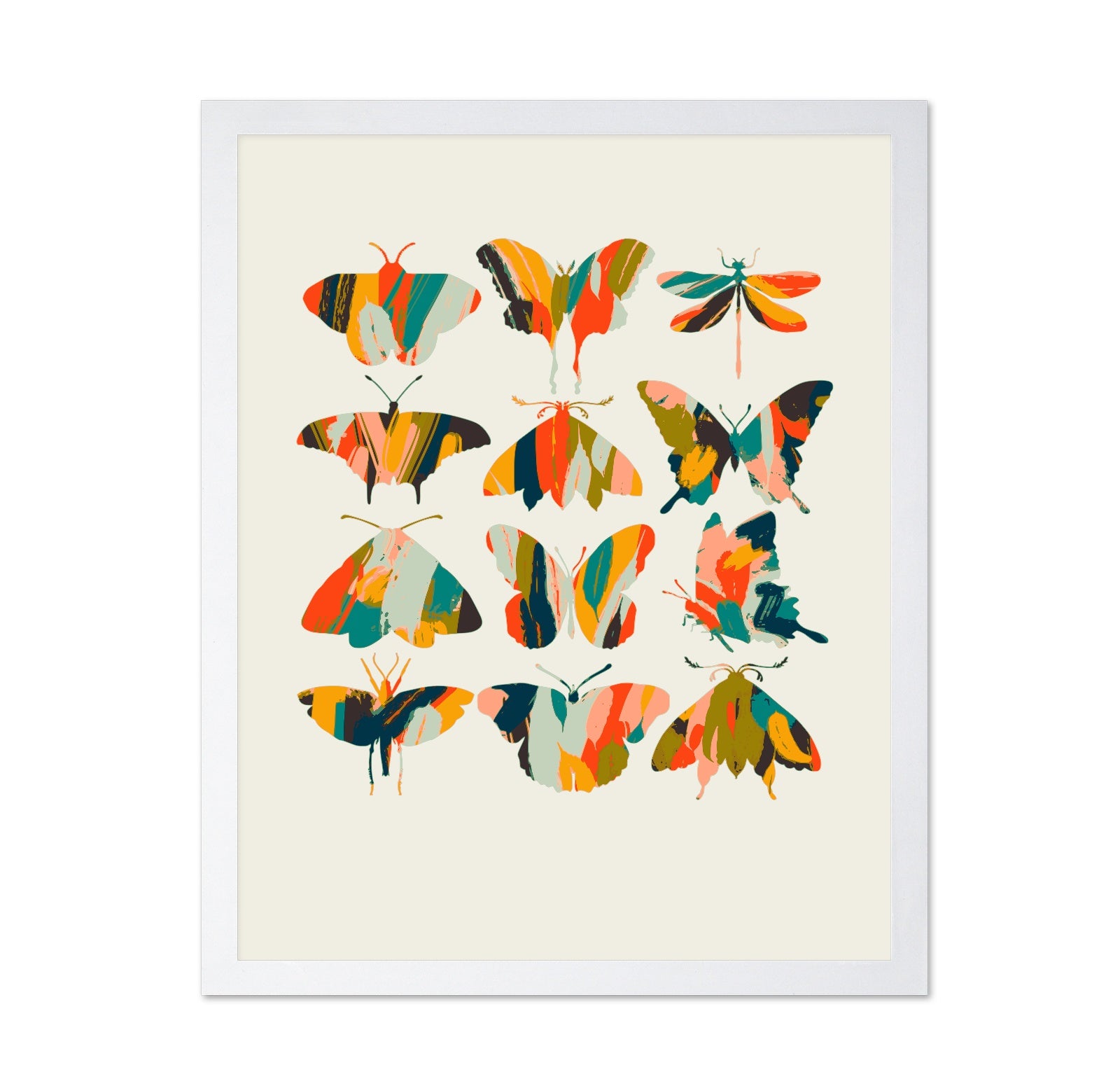 Colorful Butterfly Set