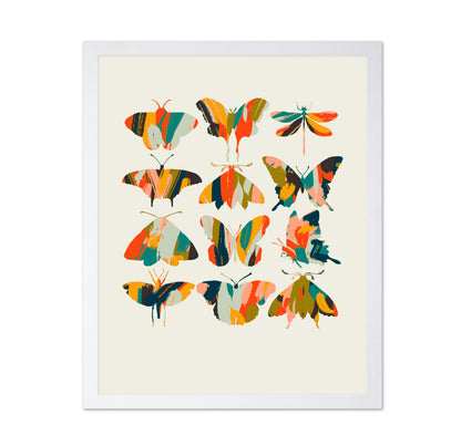 Colorful Butterfly Set