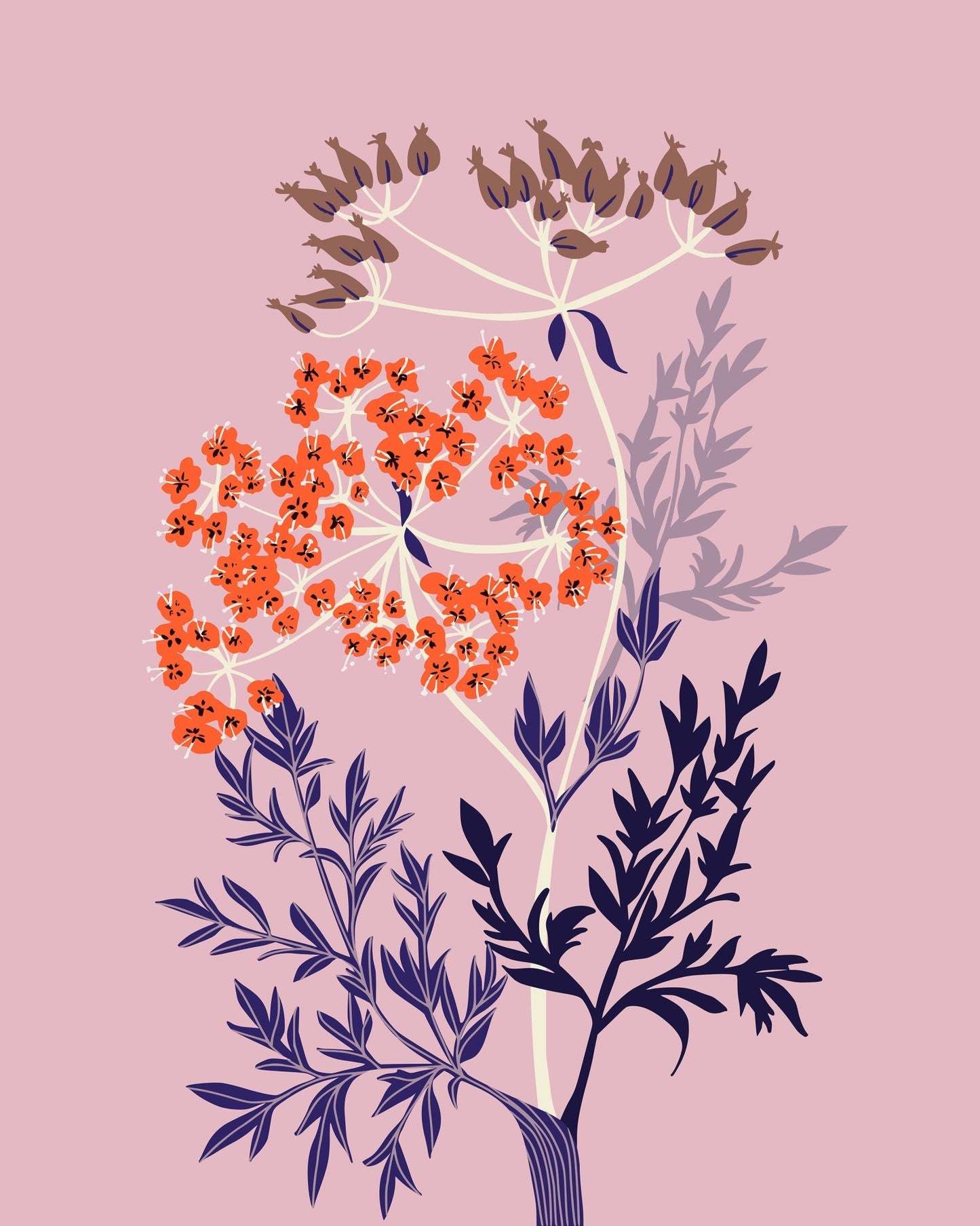 Orange Botanical Flower