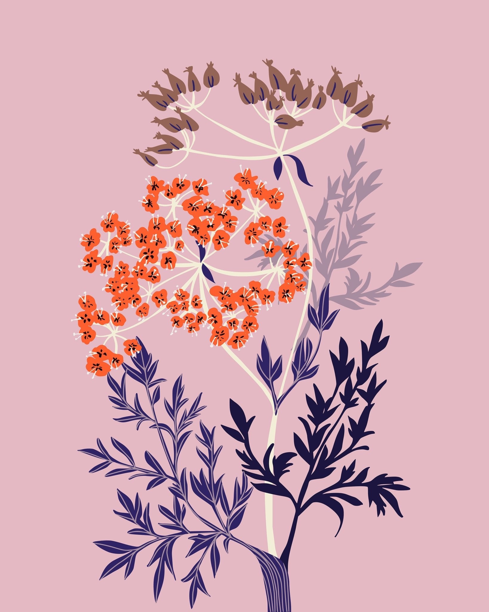 Orange Botanical Flower