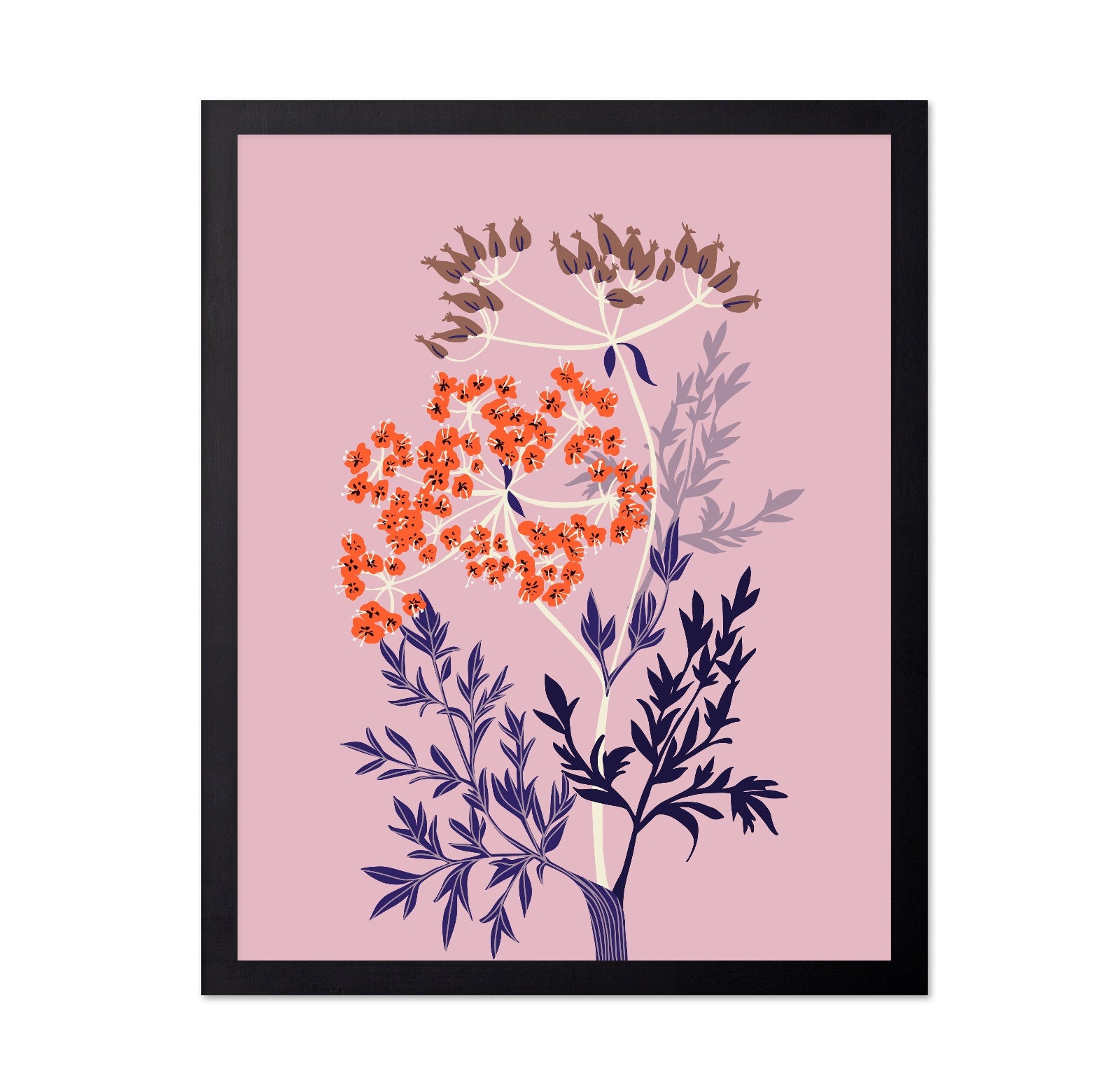 Orange Botanical Flower