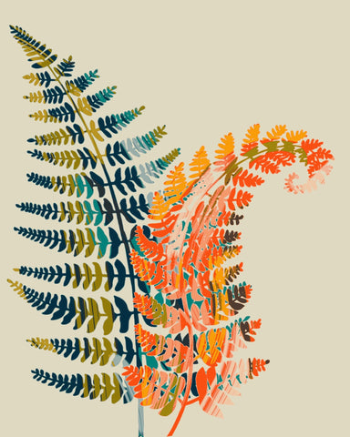 Colorful Fern Botanical