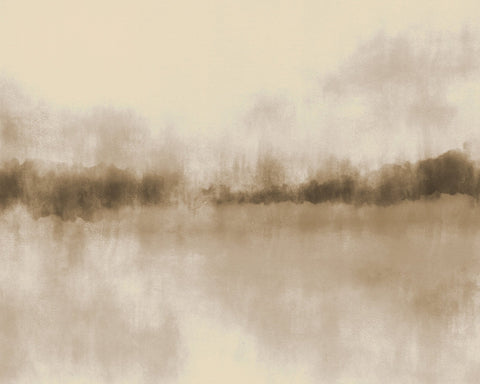 Neutral Misty Lake Landscape