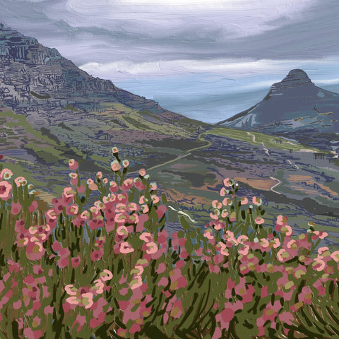 Mountain Wildflower