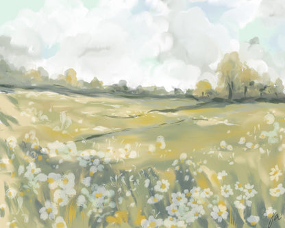 Wildflower Meadow