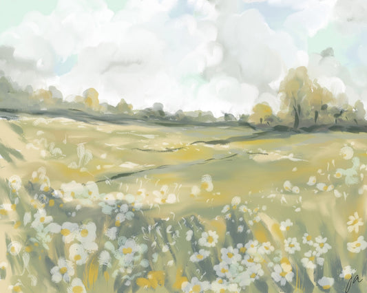 Wildflower Meadow