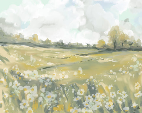 Wildflower Meadow
