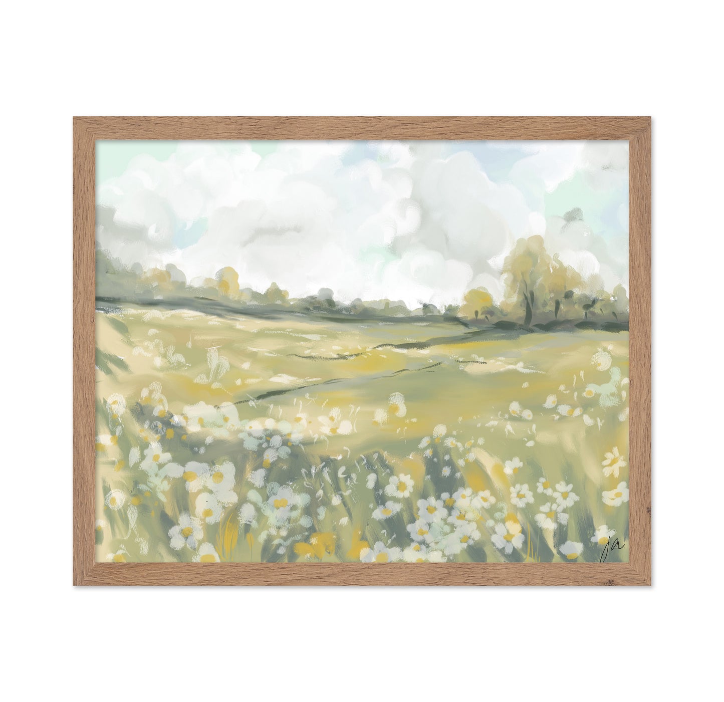 Wildflower Meadow