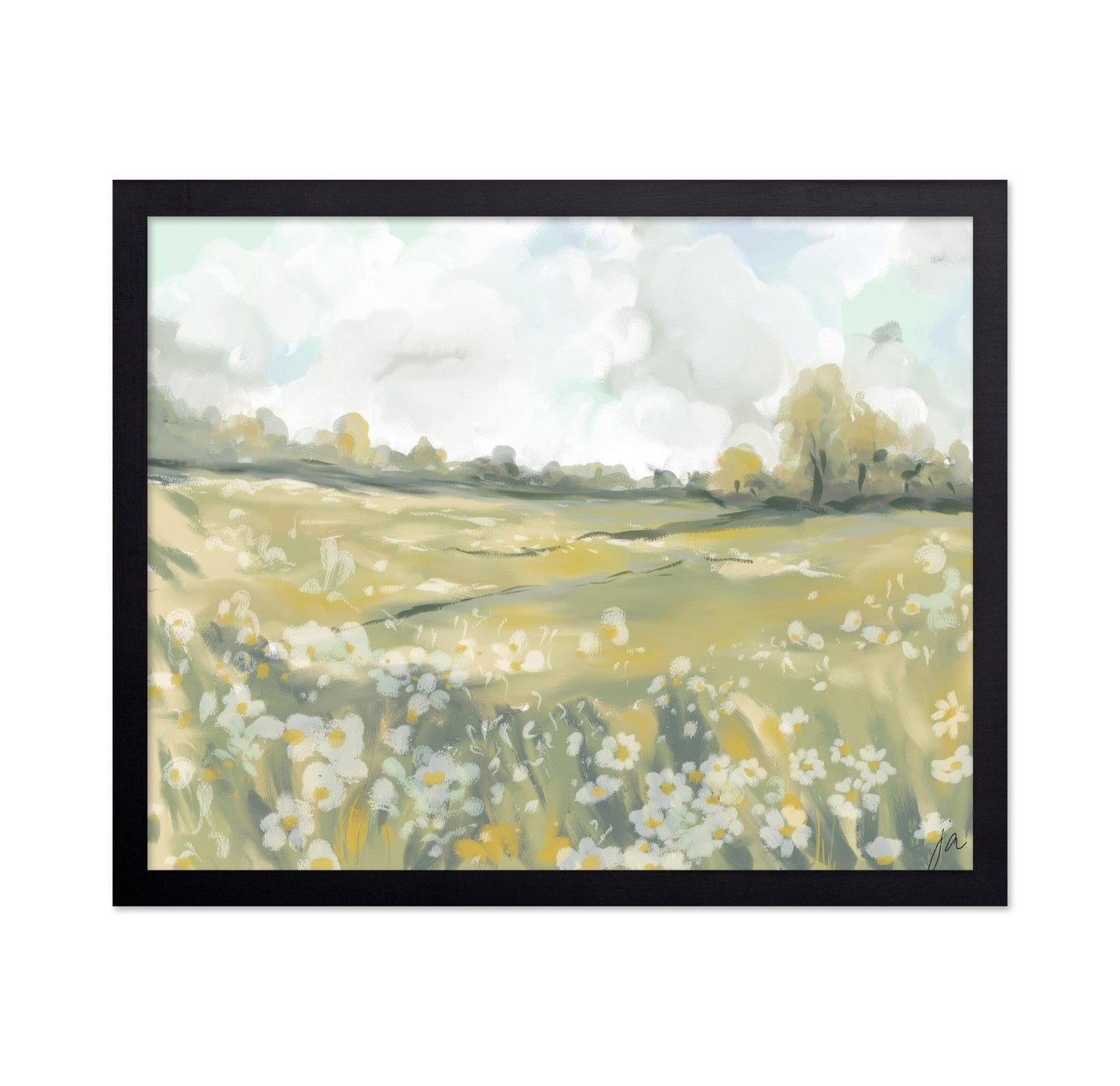 Wildflower Meadow