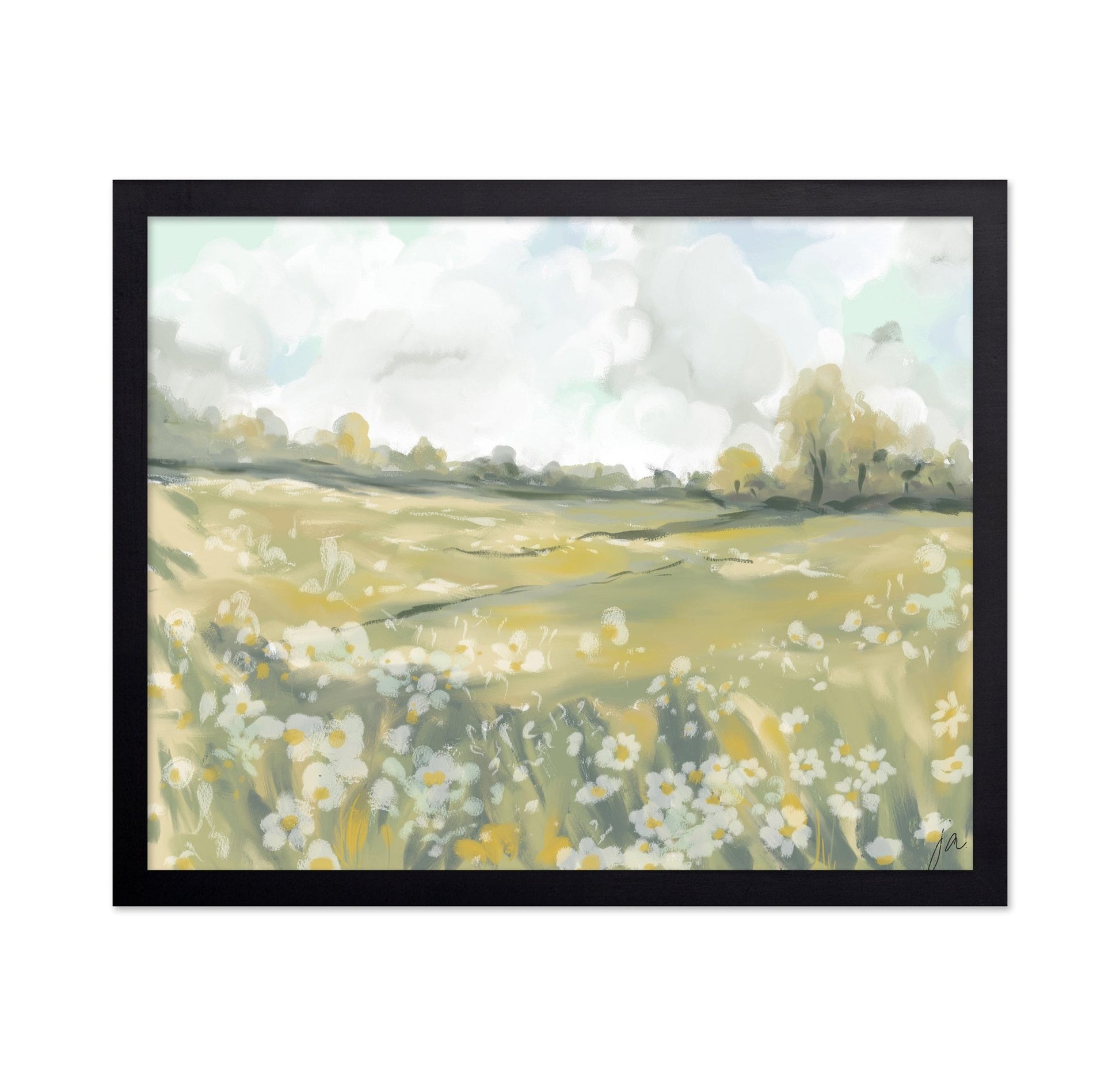 Wildflower Meadow