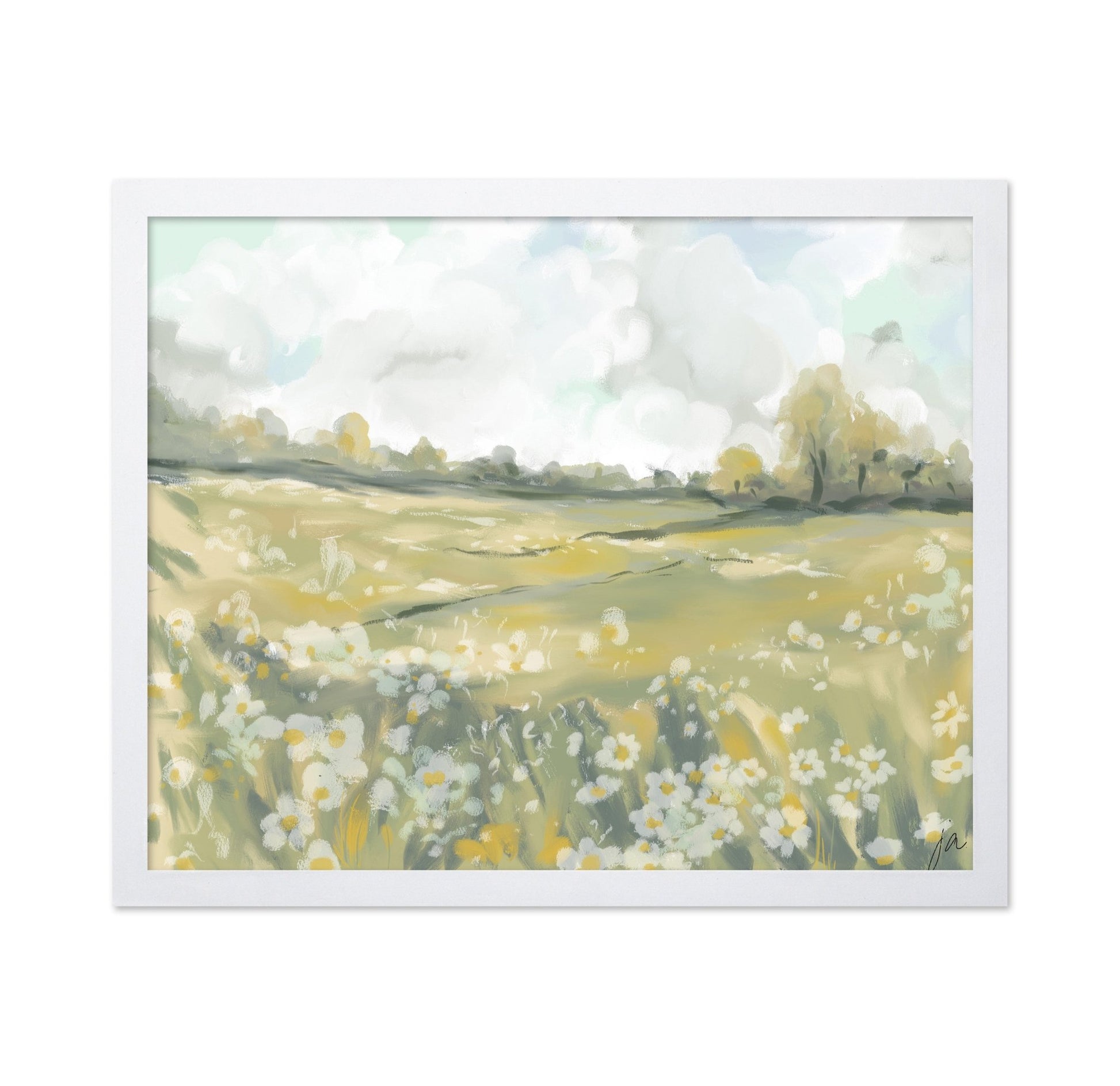 Wildflower Meadow