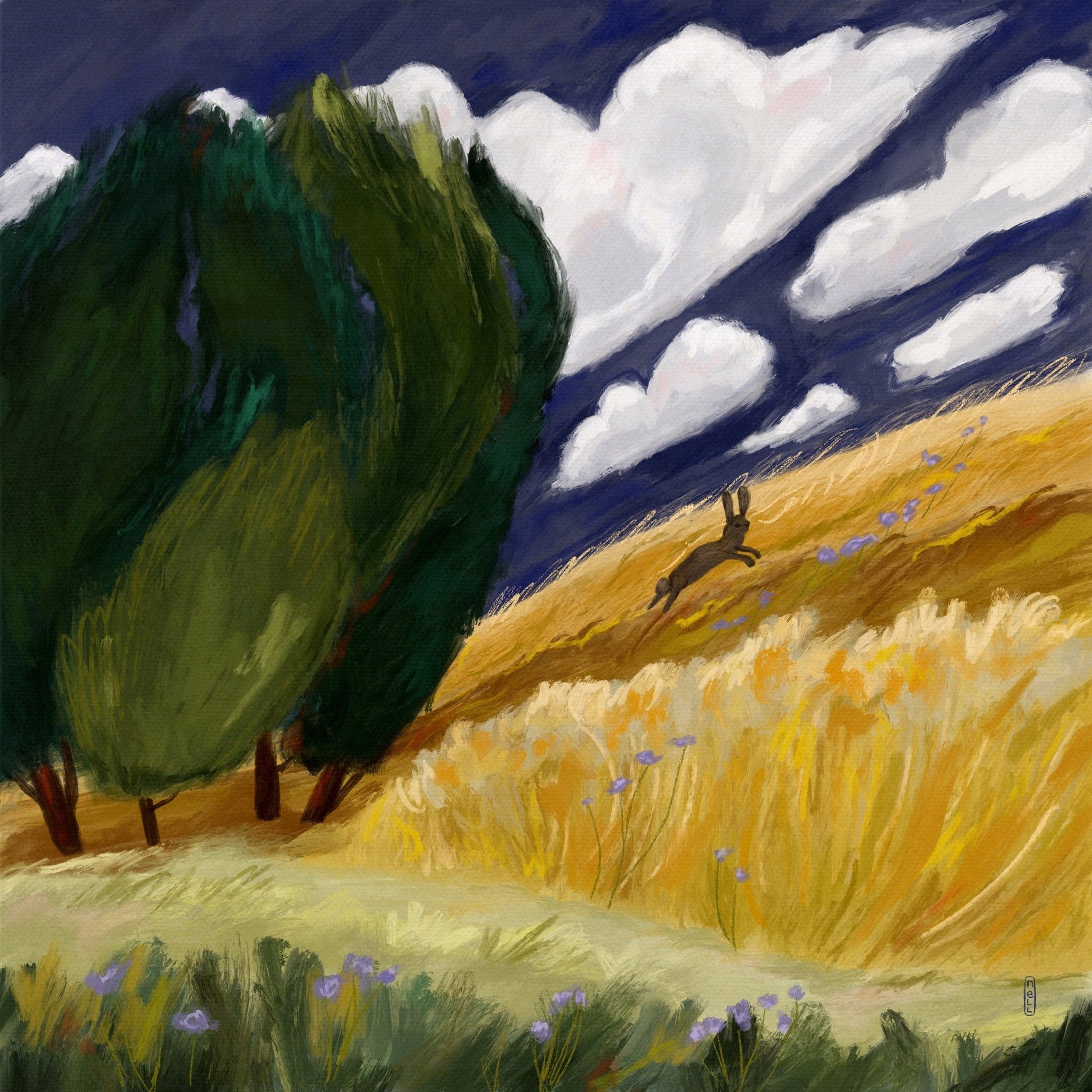 Running Hare Field