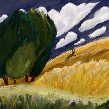 Running Hare Field