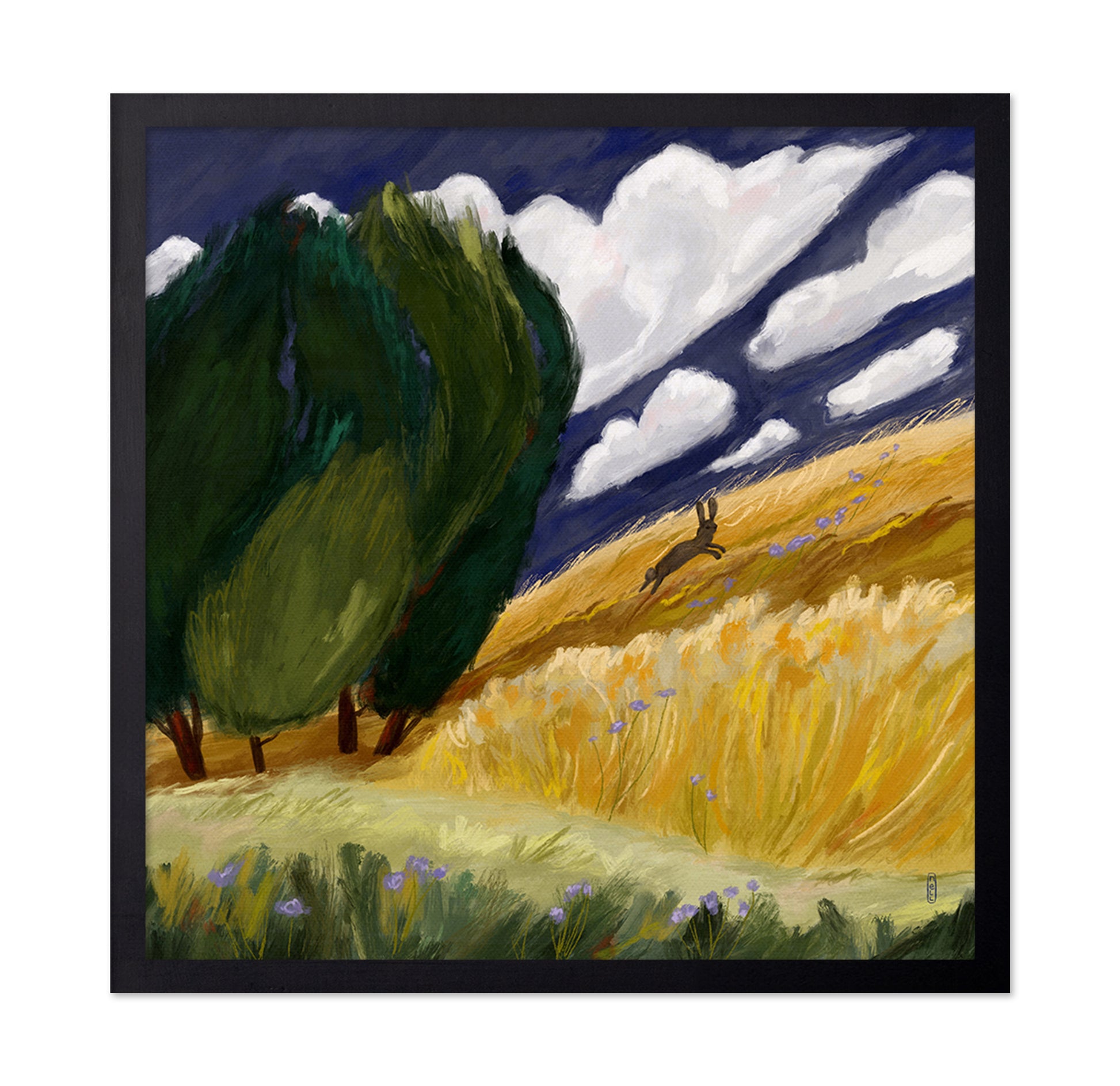Running Hare Field