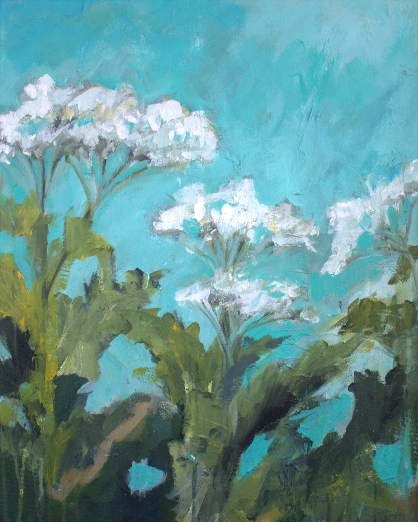 White Bloom Meadow