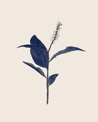 Navy Botanical Stem