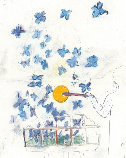 Butterfly Light Release