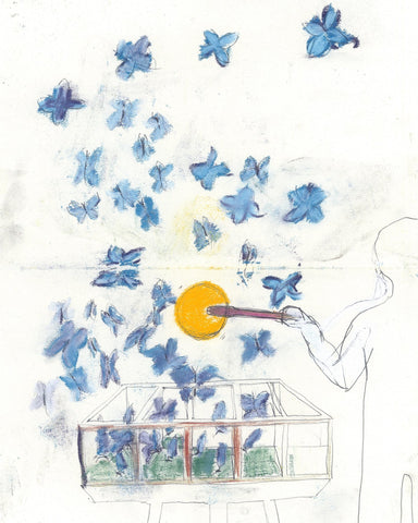Butterfly Light Release