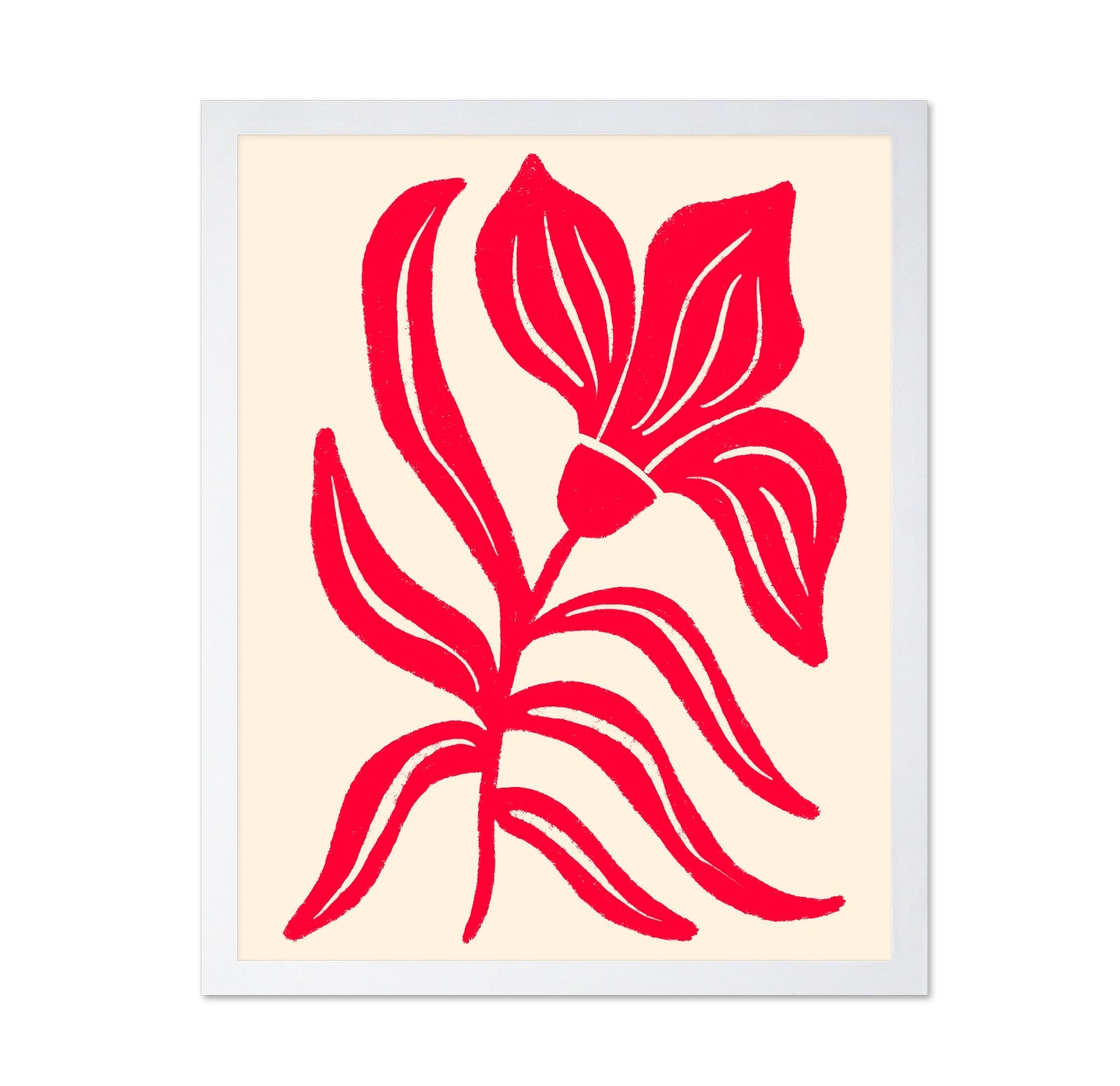 Bold Red Flower