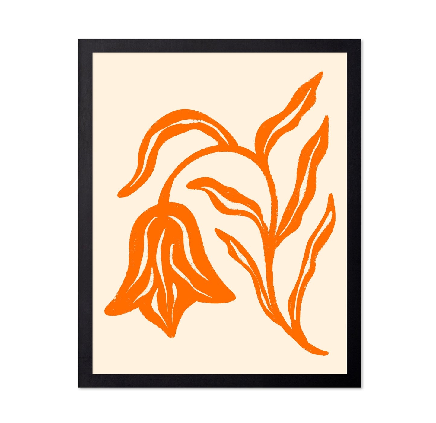 Tangerine Flora
